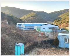  2024Ÿ��45047 ��� ���ɱ� ����� ��θ� 461      ����(��1)���