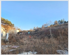  2024Ÿ��45047 ��� ���ɱ� ����� ��θ� 461      ����(��1)���