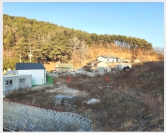  2024Ÿ��45047 ��� ���ɱ� ����� ��θ� 461      ����(��1)���