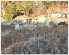  2024Ÿ��45047 ��� ���ɱ� ����� ��θ� 461      ����(��1)���