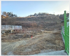  2024Ÿ��45047 ��� ���ɱ� ����� ��θ� 461      ����(��1)���