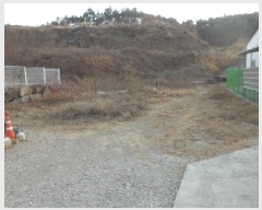  2024Ÿ��45047 ��� ���ɱ� ����� ��θ� 461      ����(��1)���