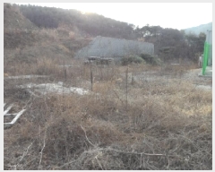  2024Ÿ��45047 ��� ���ɱ� ����� ��θ� 461      ����(��1)���