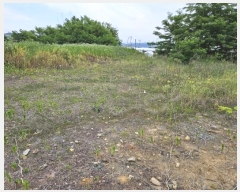  2024Ÿ��2040 ��� ���ֱ� ������ ���и� 950      ����(��)���