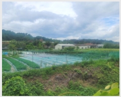  2024Ÿ��2040 ��� ���ֱ� ������ ���и� 950      ����(��)���