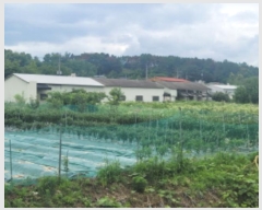  2024Ÿ��2040 ��� ���ֱ� ������ ���и� 950      ����(��)���