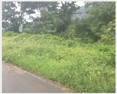  2024Ÿ3708 뱸 ޼ â и 669      (1)