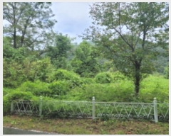  2024Ÿ3708 뱸 ޼ â и 669      (1)