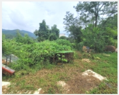  2024Ÿ3708 뱸 ޼ â и 669      (1)