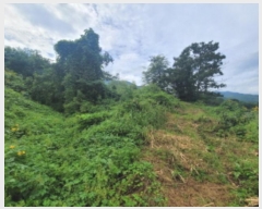  2024Ÿ3708 뱸 ޼ â и 669      (1)