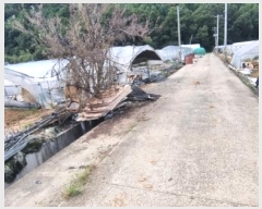  2024Ÿ3821  ֱ  긮 2150      ()