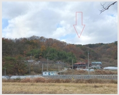  2024Ÿ4121  ֱ õ Ű踮 516      (1)