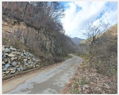  2024Ÿ4121  ֱ õ Ű踮 516      (1)