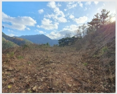  2024Ÿ4121  ֱ õ Ű踮 516      (1)