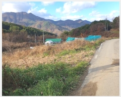  2024Ÿ4121  ֱ õ Ű踮 516      (1)