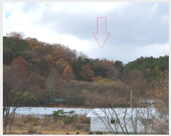  2024Ÿ4121  ֱ õ Ű踮 516      (1)