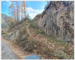  2024Ÿ4121  ֱ õ Ű踮 516      (1)