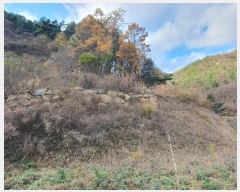  2024Ÿ4121  ֱ õ Ű踮 516      (1)