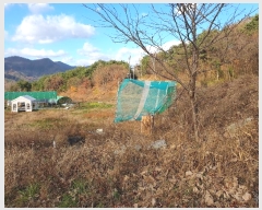  2024Ÿ4121  ֱ õ Ű踮 516      (1)