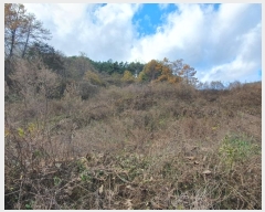  2024Ÿ��4121  �Ӿ߰��