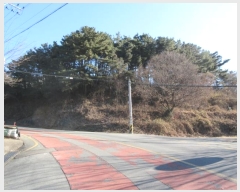  2024Ÿ4664 뱸 ޼  縮 31-8      (Ӿ)