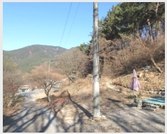  2024Ÿ4664 뱸 ޼  縮 31-8      (Ӿ)