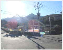  2024Ÿ4664 뱸 ޼  縮 31-8      (Ӿ)