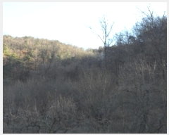  2024Ÿ4664 뱸 ޼  縮 31-8      (Ӿ)