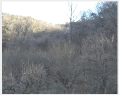  2024Ÿ4664 뱸 ޼  縮 31-8      (Ӿ)