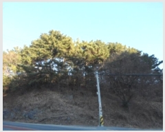  2024Ÿ4664 뱸 ޼  縮 31-8      (Ӿ)