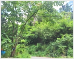  2024Ÿ��36777  �Ӿ߰��