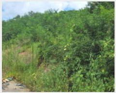  2024Ÿ��36777  �Ӿ߰��