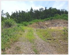  2024Ÿ��36777  �Ӿ߰��