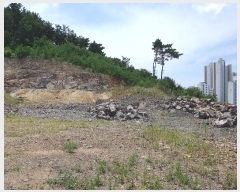  2024Ÿ��36777  �Ӿ߰��