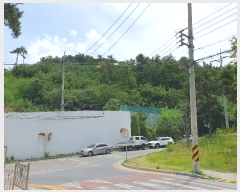  2024Ÿ��36777  �Ӿ߰��