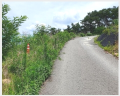  2024Ÿ��36777  �Ӿ߰��