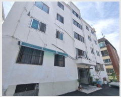  2024Ÿ��36913 �뱸 �޼��� ��ǳ�� ��ǳ����12�� 13, ���� 4��501ȣ    �ټ���,������