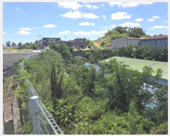  2024Ÿ37367  ֱ  и 1088-6      