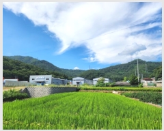  2024Ÿ39332  ɱ  븮 484-1      