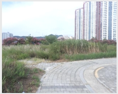  2024Ÿ��39639 �뱸 �޼��� ������ �� 940      ����(����)���