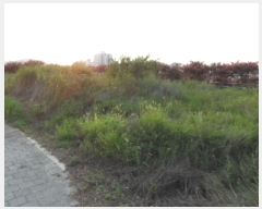  2024Ÿ��39639 �뱸 �޼��� ������ �� 940      ����(����)���