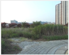  2024Ÿ��39639 �뱸 �޼��� ������ �� 940      ����(����)���