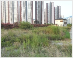  2024Ÿ��39639 �뱸 �޼��� ������ �� 940      ����(����)���