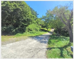  2024Ÿ40653 뱸 ޼   190      ð