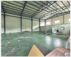  2024Ÿ��41021  ������