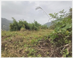  2024Ÿ42031  ֱ   47-1      (1)