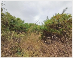  2024Ÿ42031  ֱ   47-1      (1)