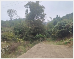  2024Ÿ42031  ֱ   47-1      (1)