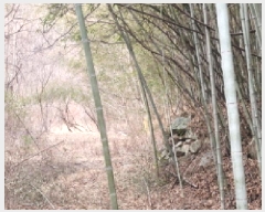  2024Ÿ42031  ֱ   47-1      (1)