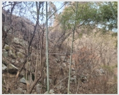  2024Ÿ42031  ֱ   47-1      (1)